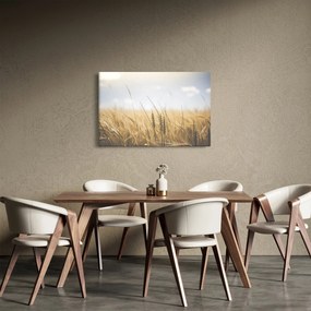 A gabona képe (90x60 cm)