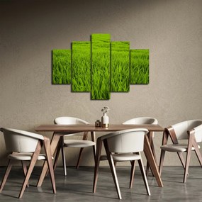 A fű képe (150x105 cm)