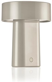 Szürkésbézs műanyag LED asztali lámpa (magasság 18 cm) Oblong – Zone