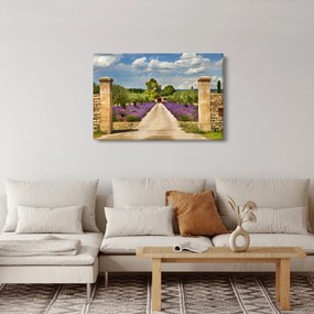 Kép - Levendula ösvények (90x60 cm)