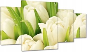 Vászonkép 160x90 Finom tulipánok