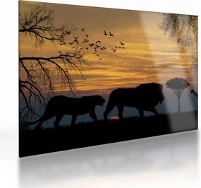 Safari képe (üvegen) (70x50 cm)