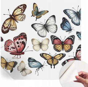 Öntapadós Fali Fotótapéta Hálószobába Paradicsom pillangók 250x250 cm