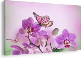 Kép - Pillangó orchidea virágon, lila (90x60 cm)