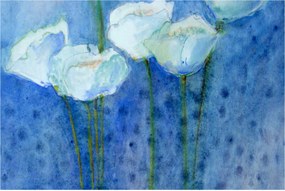 Kép - fehér tulipán (90x60 cm)