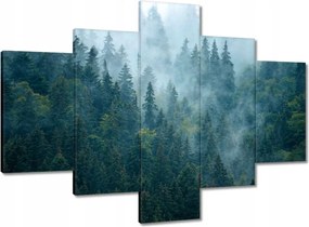 Vászonkép 100x70 Erdő a ködben Utazás
