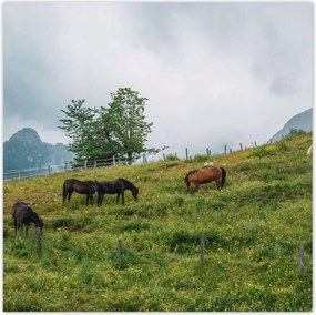 Poszterek 100x100 Tájképek Kilátások OrszágPlakátok