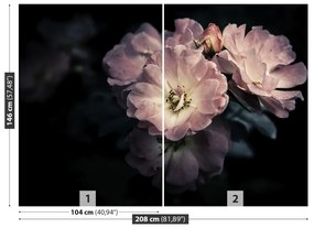 Fotótapéta Rózsaszín rózsa 104x70 cm