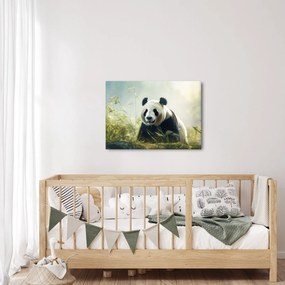 Kép - Panda (70x50 cm)