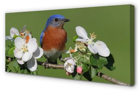 Canvas képek Virág színes papagáj 100x50 cm