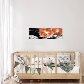 Kép - Narancssárga orchideák (órával) (90x30 cm)