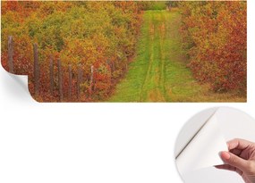 Modern öntapadós fotótapéta Mosható Őszi színek 250x104 cm
