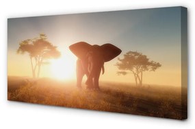 Canvas képek Elefánt fa keletre 140x70 cm