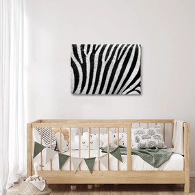 Kép egy zebra bőrről (üvegen) (70x50 cm)