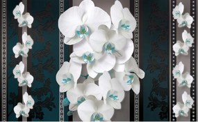 Fotótapéta Orchideák sötét háttér elegancia kontraszt 250x175 finomság +ragasztó