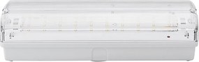 LED Vészvilágítás LED/3W/240V 6000K IP65
