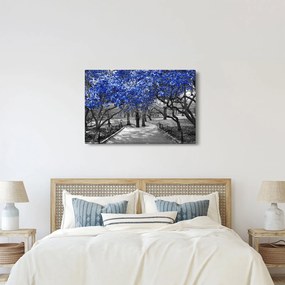 Kép - Kék fák, Central Park, New York (90x60 cm)