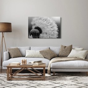 Pitypang képe - fekete fehér (90x60 cm)