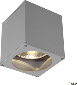 SLV 229554 THEO Modern Kültéri Mennyezeti Lámpa Átlátszó, Szürke GU10/ES111 IP44