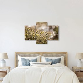 Kép - Zöld növényzet (90x60 cm)