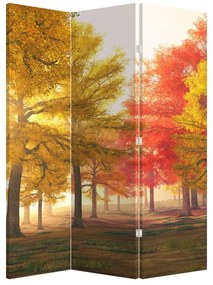 Paraván - Őszi fák (126x170 cm)