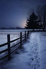 Poszter 67,5x100cm Csendes Téli Fény