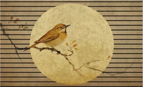 Dekoratív Fotótapéta Hálószoba Madár Harmónia 416x254 Ragasztó