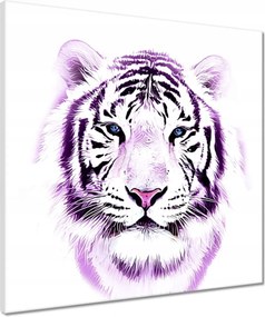 Vászonkép 50x50 Finom grafika Tigris