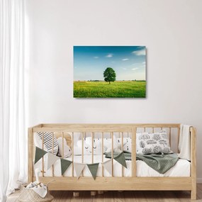 Egy fa képe egy rét közepén (üvegen) (70x50 cm)