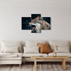 Farkas képe (90x60 cm)