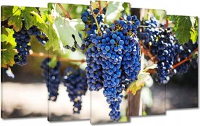 Vászonkép 100x60 Bor Szőlő Szőlőbirtok