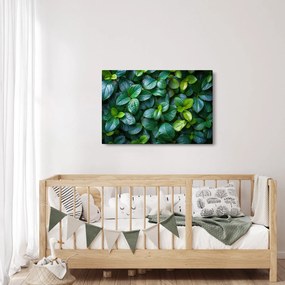 Kép - Zöld növények (90x60 cm)