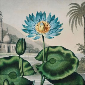 Fotótapéta Flizelin a nappali hálószobába Egzotikus táj 250x250