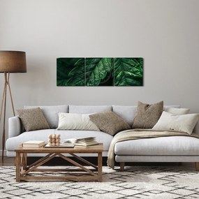 Kép - A lap részletei (órával) (90x30 cm)