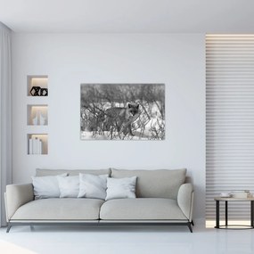 Kép - Róka télen (90x60 cm)
