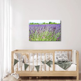 Egy mező képe a levendulával (90x60 cm)