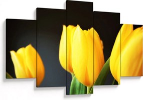 Tulipán képe (150x105 cm)