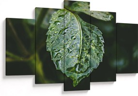 Kép - cseppek a levelen (150x105 cm)