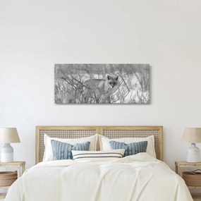 Kép - Róka, fekete, fehér (120x50 cm)