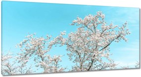 Vászonkép 115x55 Finom virágok Tavasz