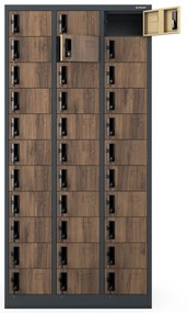 Rekeszes szekrény OLIVER, 900 x 1850 x 450 mm, Eco Design: antracit/dió