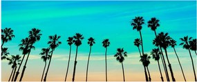 Kép - Kalifornia (120x50 cm)