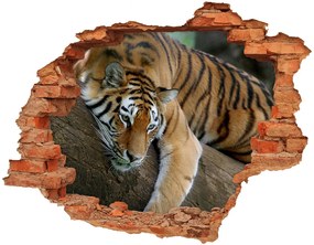 3d-s lyuk vizuális effektusok matrica Tiger a fán nd-c-4289086