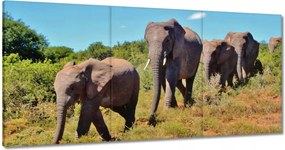 Vászonkép 180x90 Elefántok vándorlása