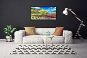 Vászonkép nyomtatás Top Bay Mező Természet 100x50 cm