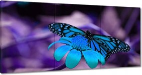 Vászonkép 180x90 Kék pillangó