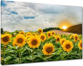 Våszonkép 100x70 Tåjkép Napraforgók