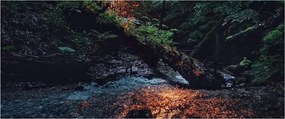 Hegyi folyó képe (120x50 cm)