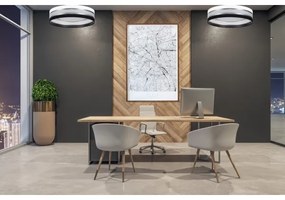 LED Dimmelhető mennyezeti lámpa SMART CORAL LED/24W/230V fekete/fehér + távirányító