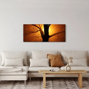 Kép egy fáról naplementekor (120x50 cm)